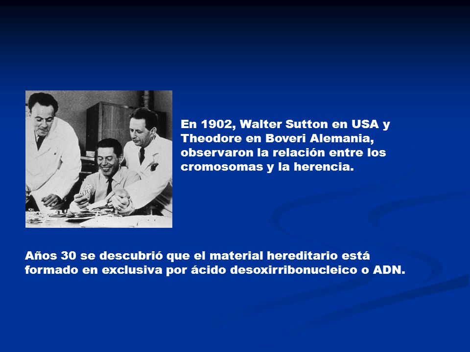 En 1902, Walter Sutton en USA y Theodore en Boveri Alemania, observaron la relación entre los cromosomas y la herencia.