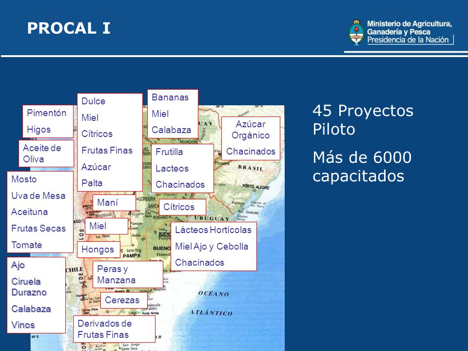 PROCAL I 45 Proyectos Piloto Más de 6000 capacitados Bananas Dulce