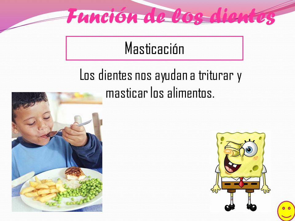 Los dientes nos ayudan a triturar y masticar los alimentos.