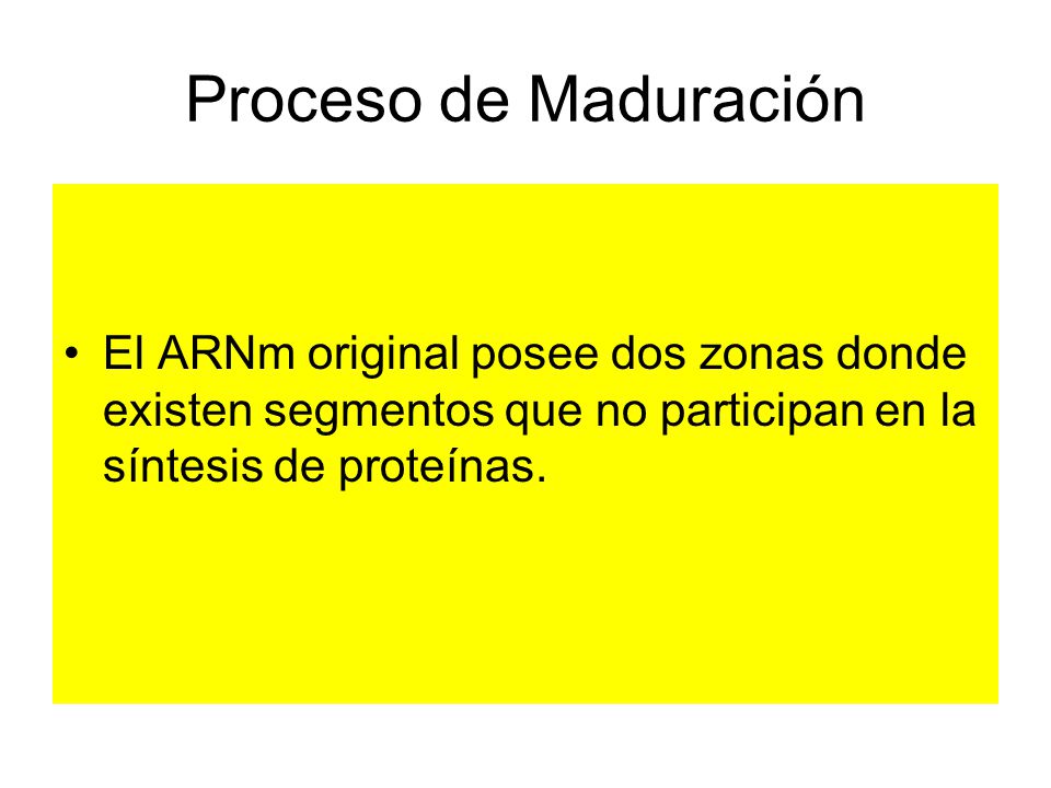 Proceso de Maduración El ARNm original posee dos zonas donde existen segmentos que no participan en la síntesis de proteínas.