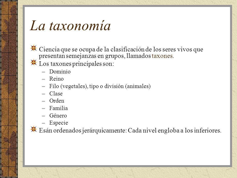 La taxonomía Ciencia que se ocupa de la clasificación de los seres vivos que presentan semejanzas en grupos, llamados taxones.