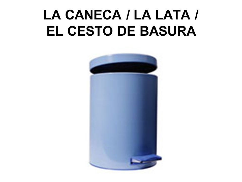 LA CANECA / LA LATA / EL CESTO DE BASURA