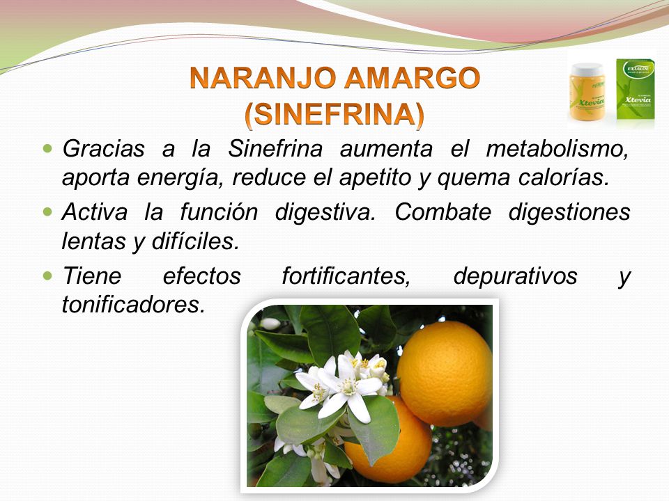 NARANJO AMARGO (SINEFRINA)