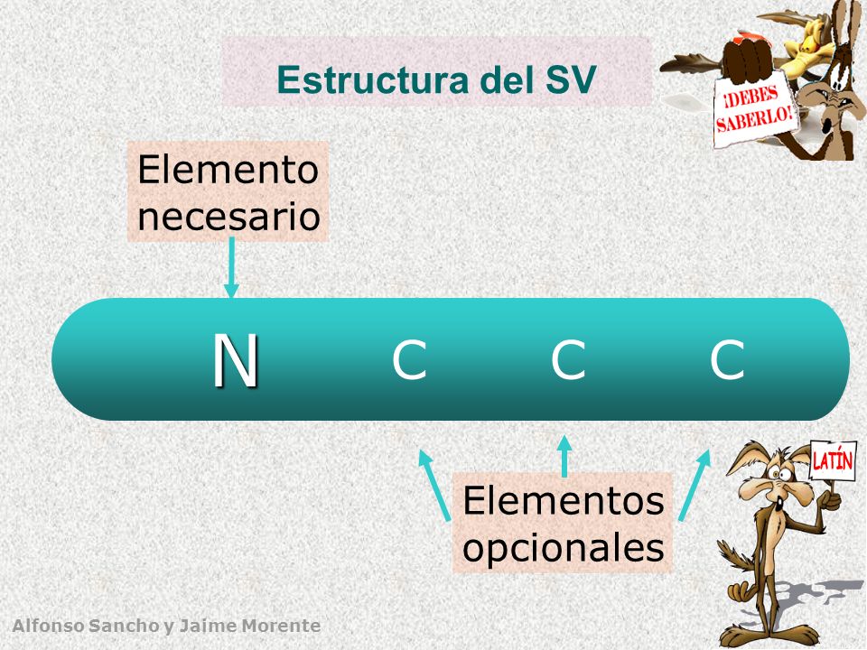 Estructura del SV Elemento necesario N C C C Elementos opcionales