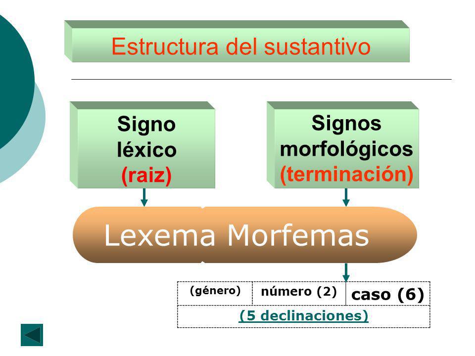 Estructura del sustantivo