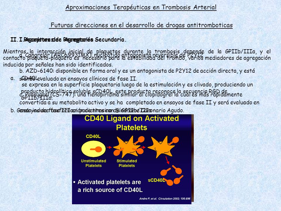 Aproximaciones Terapéuticas en Trombosis Arterial Futuras direcciones en el desarrollo de drogas antitromboticas