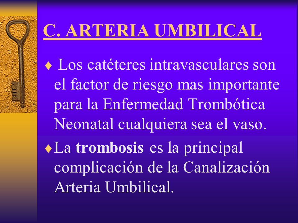 C. ARTERIA UMBILICAL