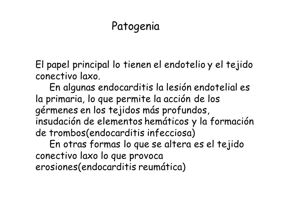 Patogenia El papel principal lo tienen el endotelio y el tejido conectivo laxo.