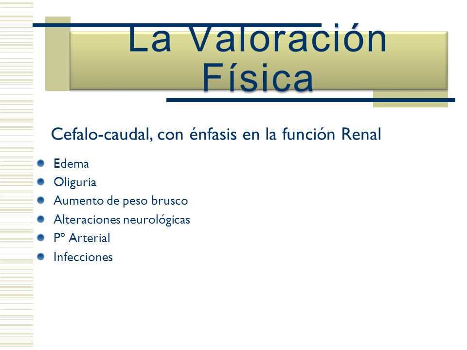 La Valoración Física Cefalo-caudal, con énfasis en la función Renal
