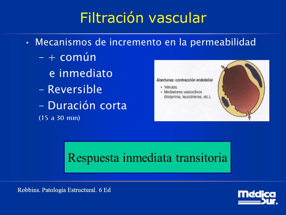 Respuesta inmediata transitoria