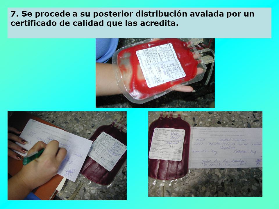 7. Se procede a su posterior distribución avalada por un certificado de calidad que las acredita.