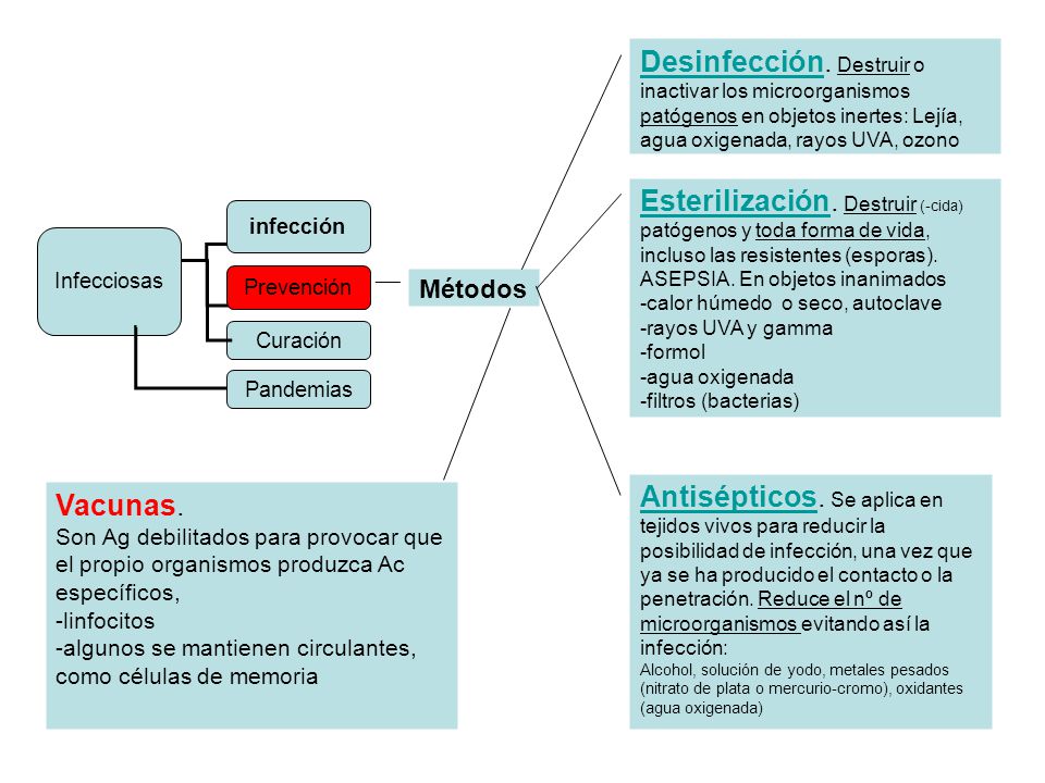 Desinfección. Destruir o inactivar los microorganismos patógenos en objetos inertes: Lejía, agua oxigenada, rayos UVA, ozono