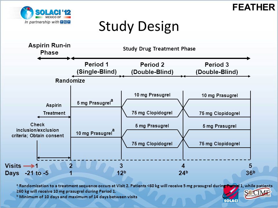 Study Design FEATHER 10 mg Prasugrel 10 mg Prasugrel 5 mg Prasugrela