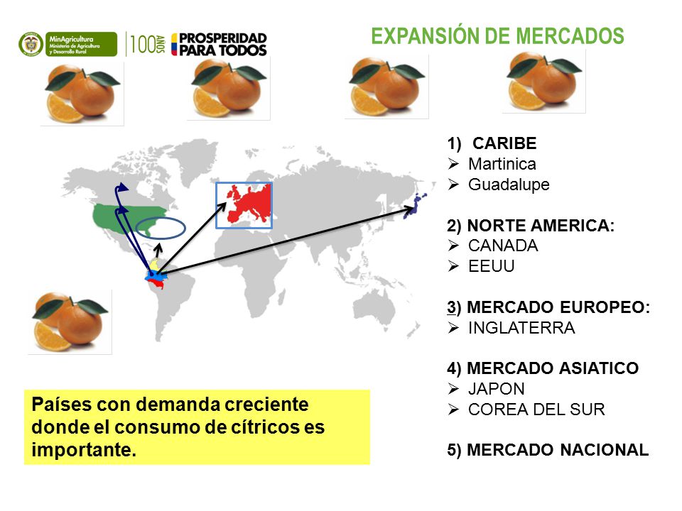 EXPANSIÓN DE MERCADOS CARIBE. Martinica. Guadalupe. 2) NORTE AMERICA: CANADA. EEUU. 3) MERCADO EUROPEO: