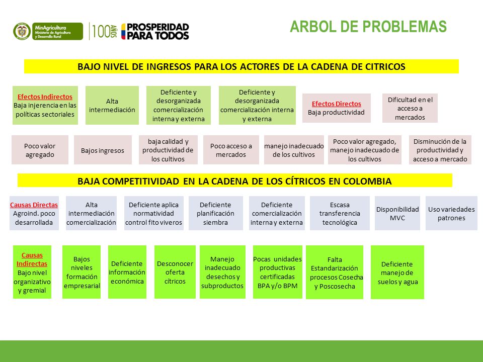 ARBOL DE PROBLEMAS BAJO NIVEL DE INGRESOS PARA LOS ACTORES DE LA CADENA DE CITRICOS. Efectos Indirectos Baja injerencia en las políticas sectoriales.