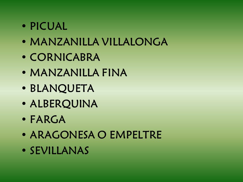 PICUAL MANZANILLA VILLALONGA. CORNICABRA. MANZANILLA FINA. BLANQUETA. ALBERQUINA. FARGA. ARAGONESA O EMPELTRE.