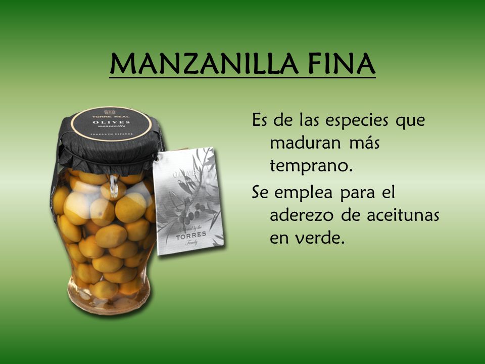 MANZANILLA FINA Es de las especies que maduran más temprano.