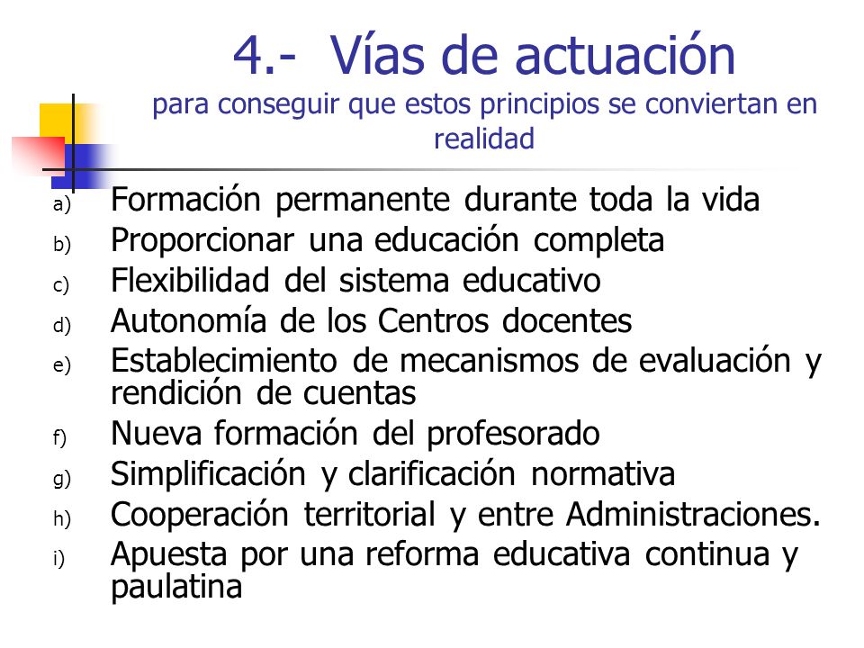 4.- Vías de actuación para conseguir que estos principios se conviertan en realidad