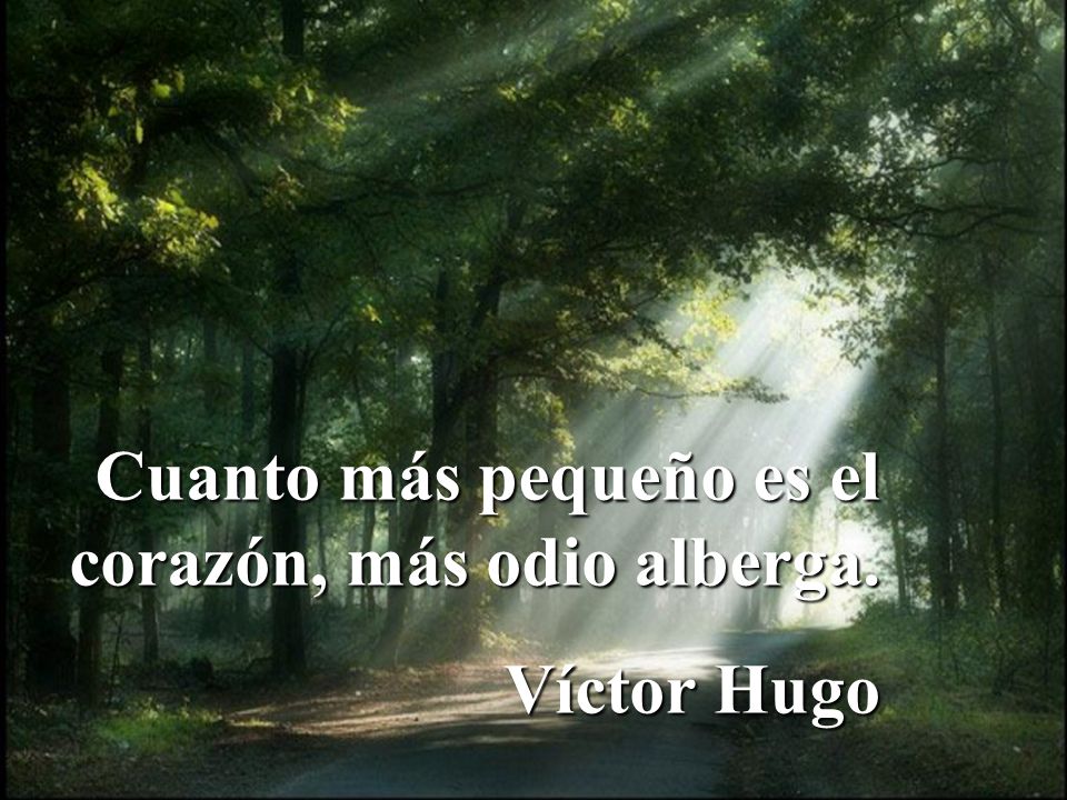 Cuanto más pequeño es el corazón, más odio alberga.