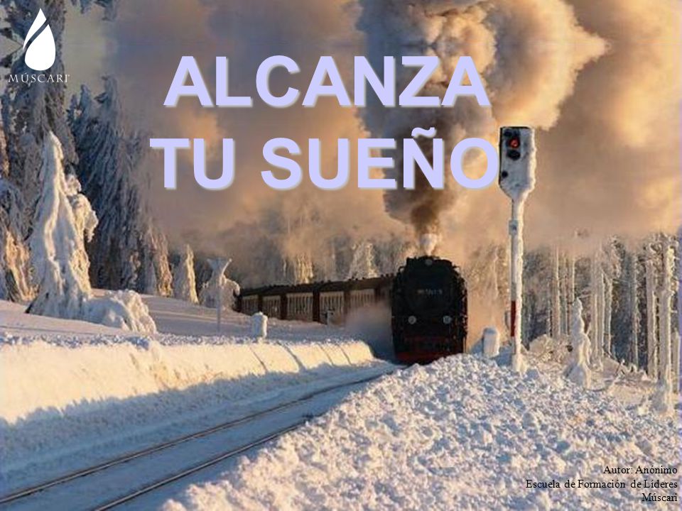 ALCANZA TU SUEÑO Autor: Anónimo Escuela de Formación de Líderes