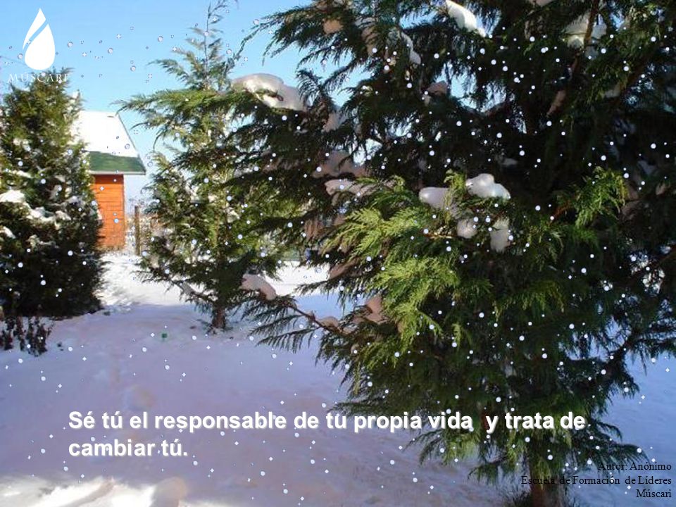 Sé tú el responsable de tu propia vida y trata de cambiar tú.