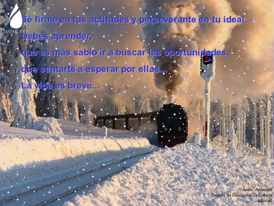 Sé firme en tus actitudes y perseverante en tu ideal. Debes aprender,