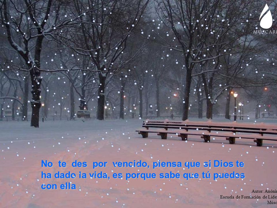 No te des por vencido, piensa que si Dios te ha dado la vida, es porque sabe que tú puedes con ella