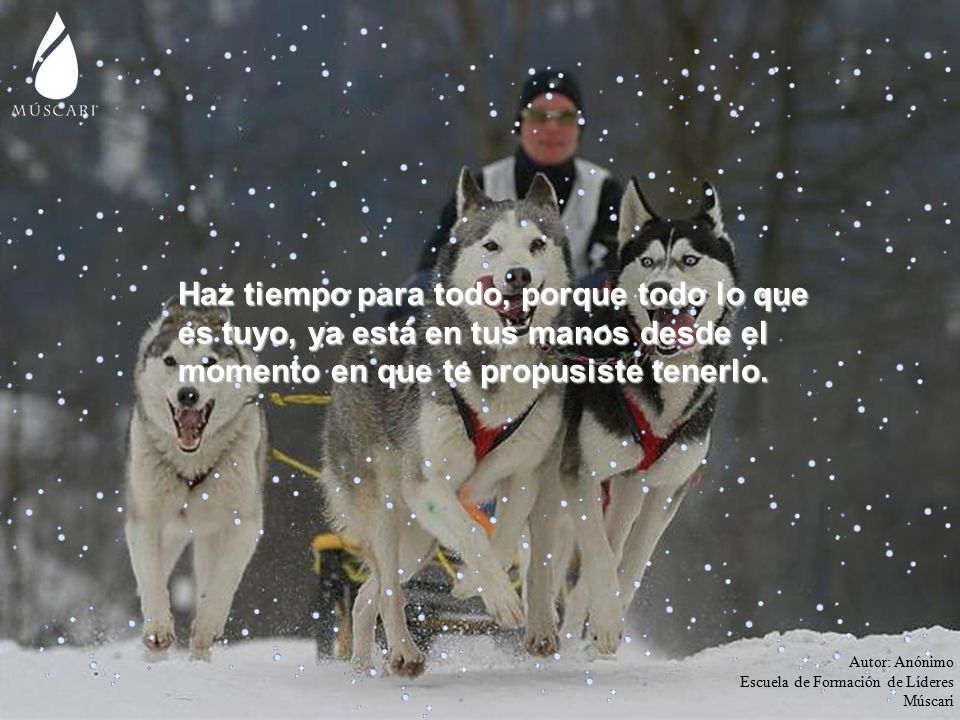 Haz tiempo para todo, porque todo lo que es tuyo, ya está en tus manos desde el momento en que te propusiste tenerlo.