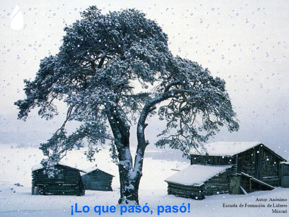 ¡Lo que pasó, pasó! Autor: Anónimo Escuela de Formación de Líderes
