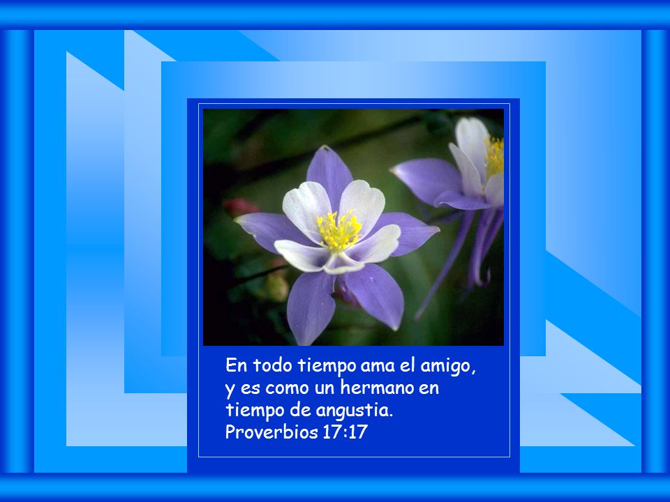 En todo tiempo ama el amigo, y es como un hermano en tiempo de angustia. Proverbios 17:17