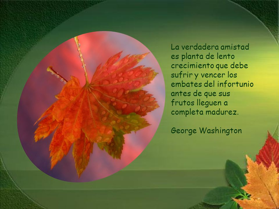 La verdadera amistad es planta de lento crecimiento que debe sufrir y vencer los embates del infortunio antes de que sus frutos lleguen a completa madurez.