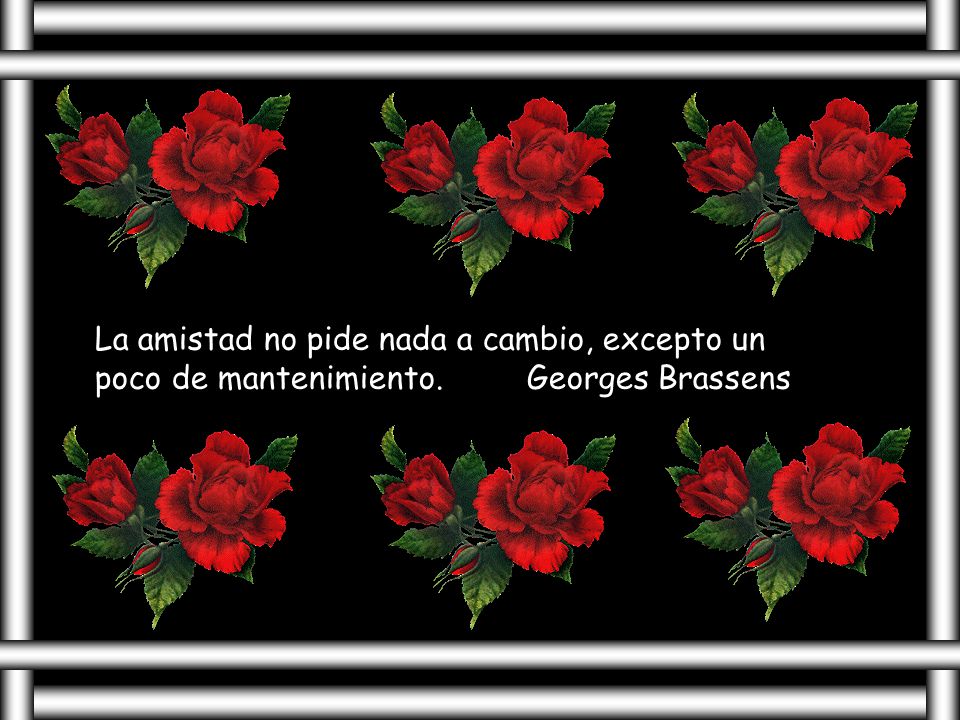 La amistad no pide nada a cambio, excepto un poco de mantenimiento