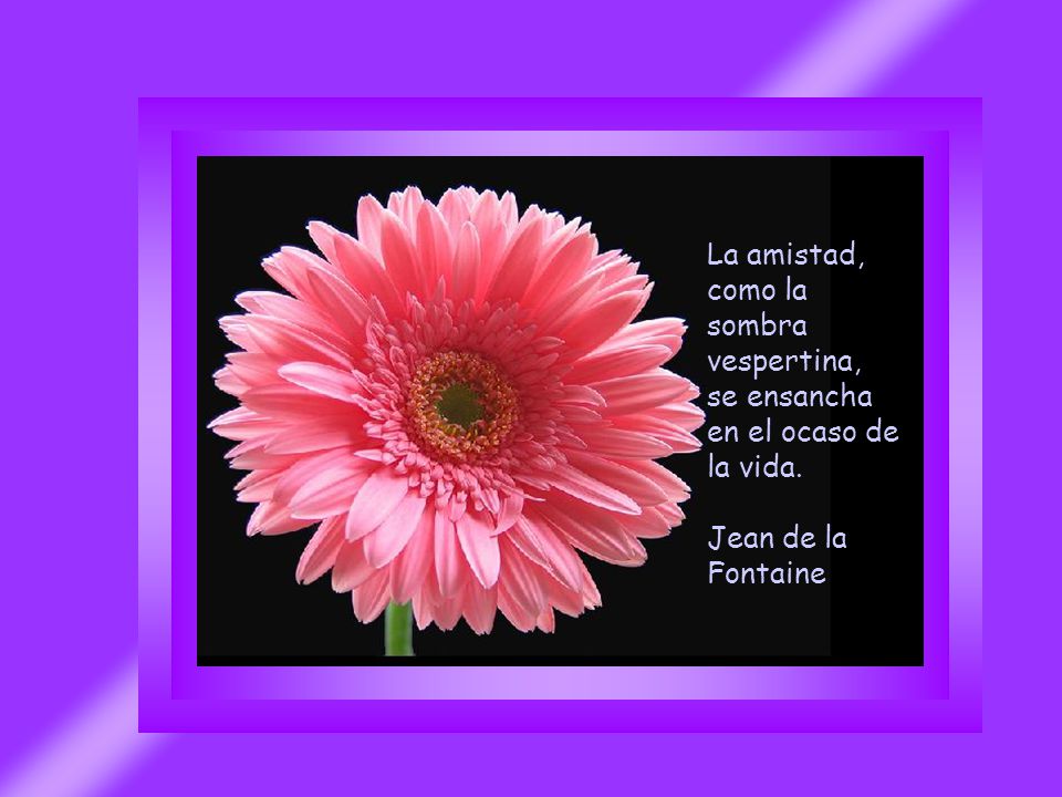 La amistad, como la sombra vespertina, se ensancha en el ocaso de la vida.
