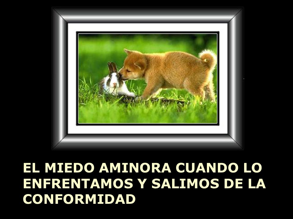 EL MIEDO AMINORA CUANDO LO ENFRENTAMOS Y SALIMOS DE LA CONFORMIDAD
