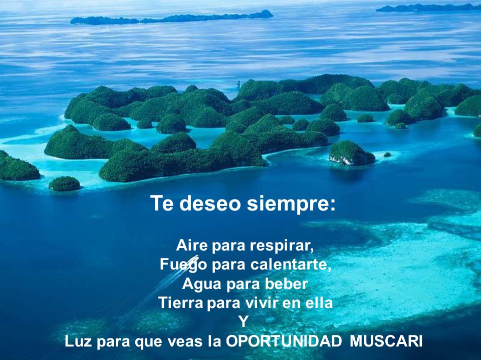 Tierra para vivir en ella Luz para que veas la OPORTUNIDAD MUSCARI
