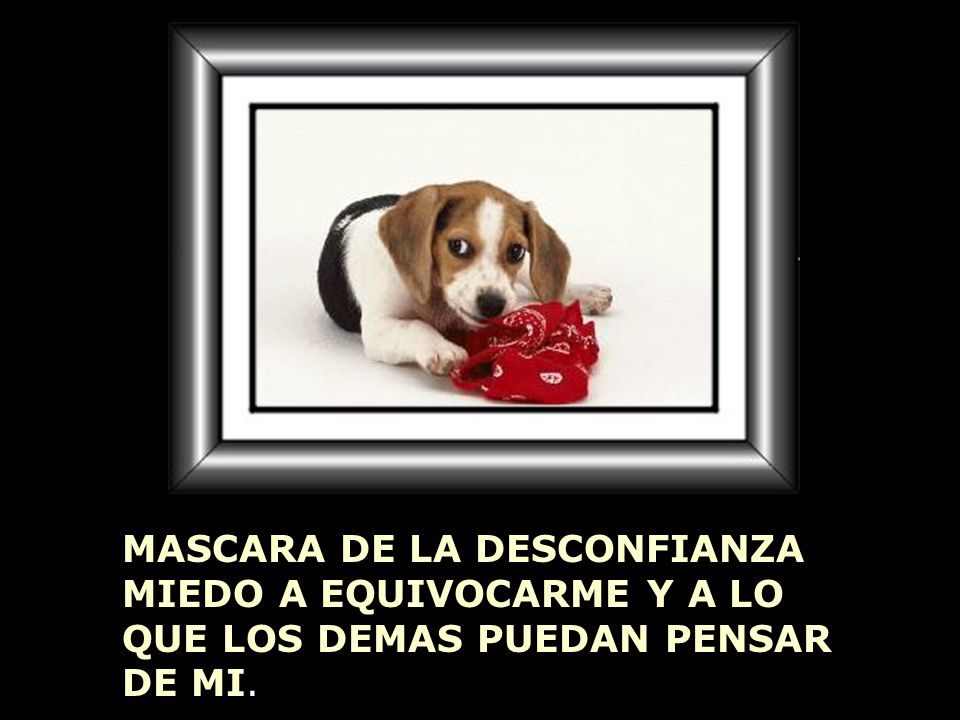 MASCARA DE LA DESCONFIANZA MIEDO A EQUIVOCARME Y A LO QUE LOS DEMAS PUEDAN PENSAR DE MI.