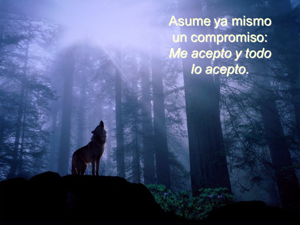 Asume ya mismo un compromiso: Me acepto y todo lo acepto.