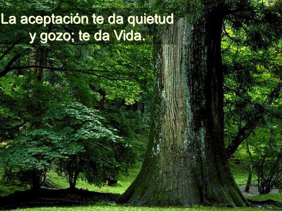 La aceptación te da quietud y gozo; te da Vida.