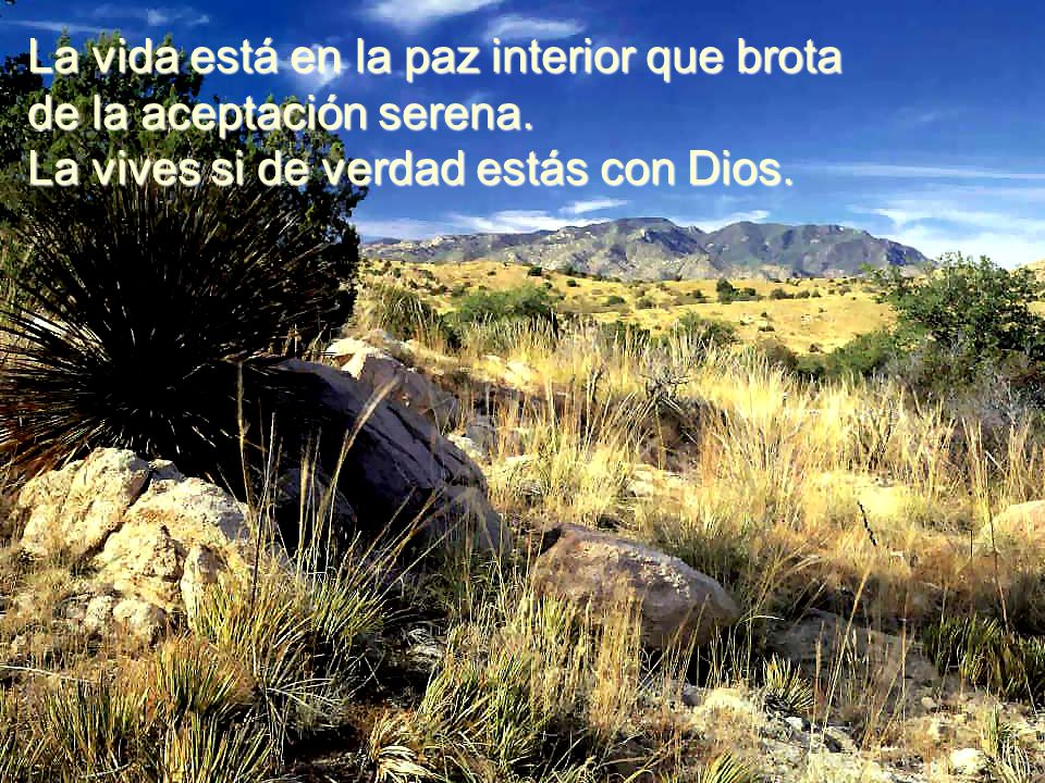 La vida está en la paz interior que brota de la aceptación serena.