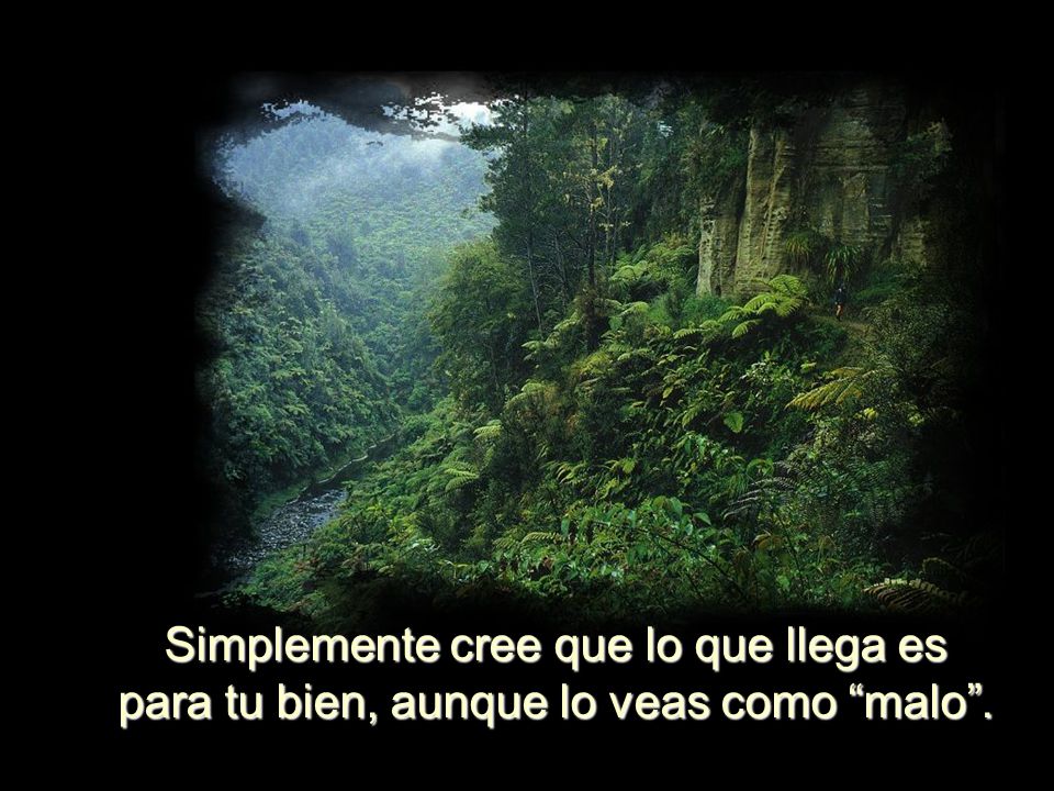 Simplemente cree que lo que llega es para tu bien, aunque lo veas como malo .