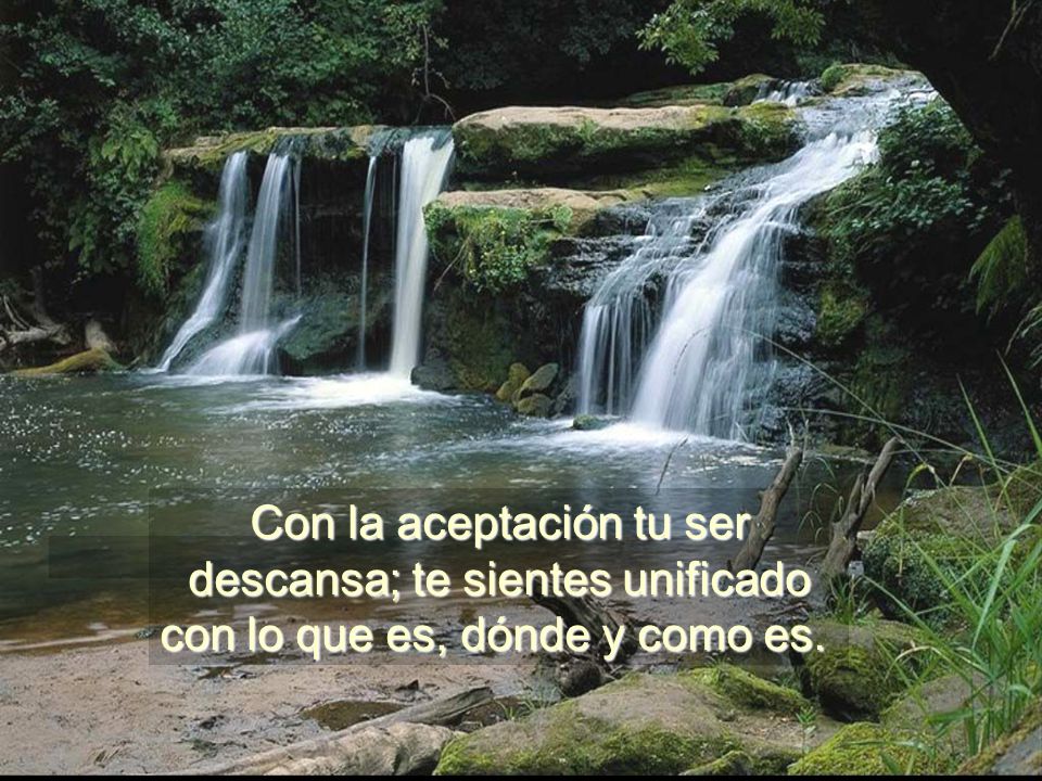 Con la aceptación tu ser descansa; te sientes unificado con lo que es, dónde y como es.