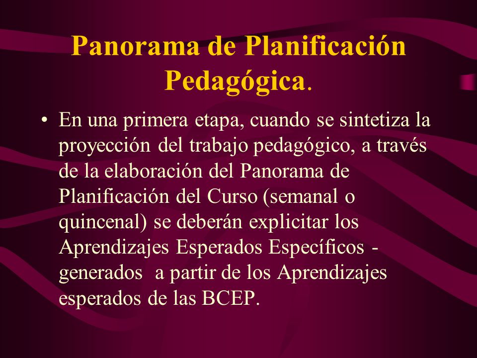 Panorama de Planificación Pedagógica.