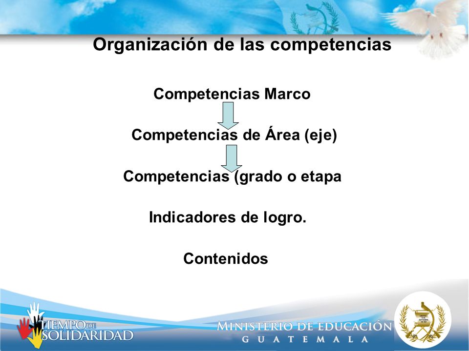 Organización de las competencias