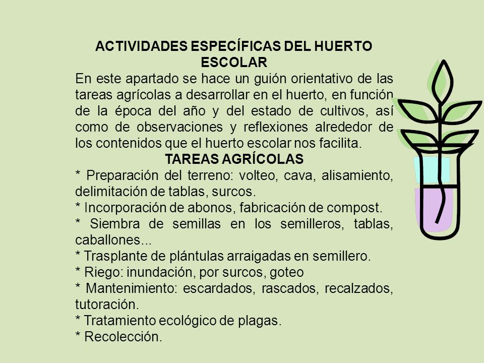 ACTIVIDADES ESPECÍFICAS DEL HUERTO ESCOLAR