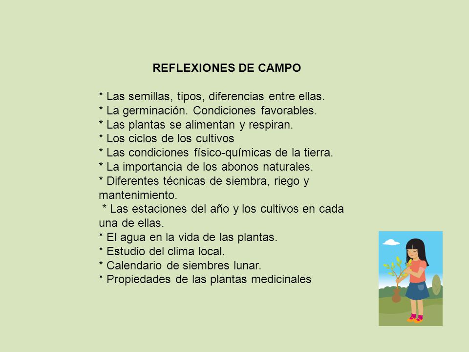 REFLEXIONES DE CAMPO * Las semillas, tipos, diferencias entre ellas. * La germinación. Condiciones favorables.