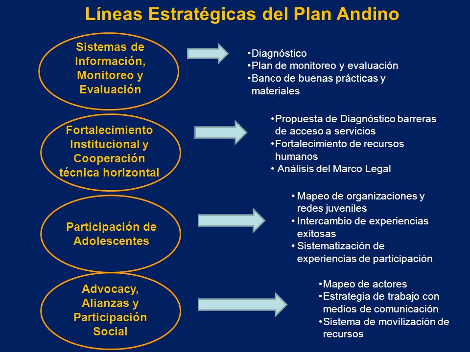 Líneas Estratégicas del Plan Andino