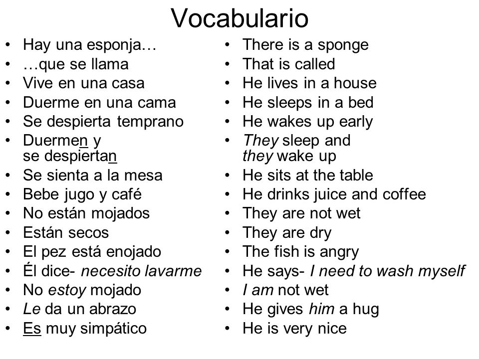 Vocabulario Hay una esponja… …que se llama Vive en una casa