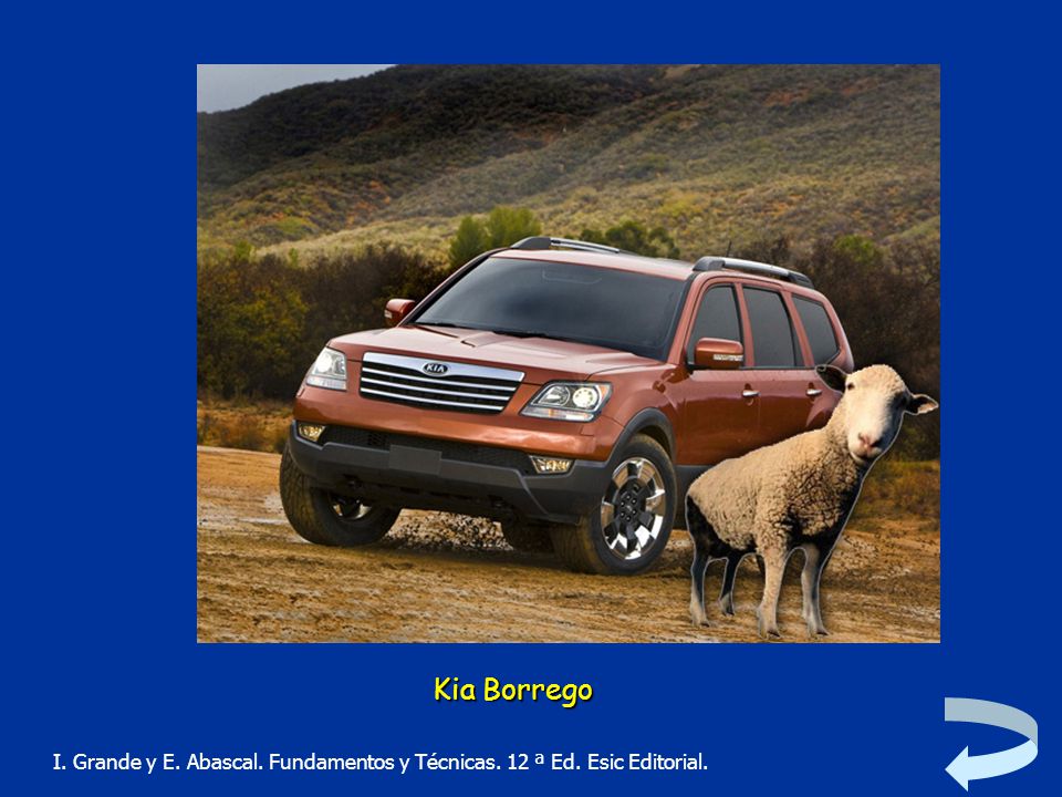 Kia Borrego I. Grande y E. Abascal. Fundamentos y Técnicas. 12 ª Ed. Esic Editorial.