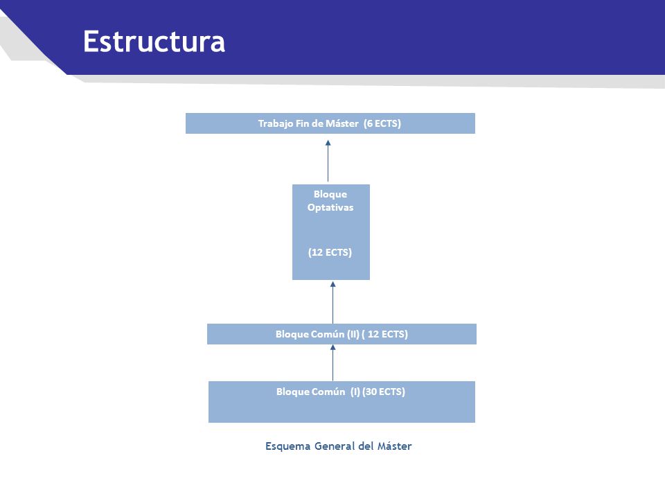 Estructura Trabajo Fin de Máster (6 ECTS) Bloque Optativas (12 ECTS)