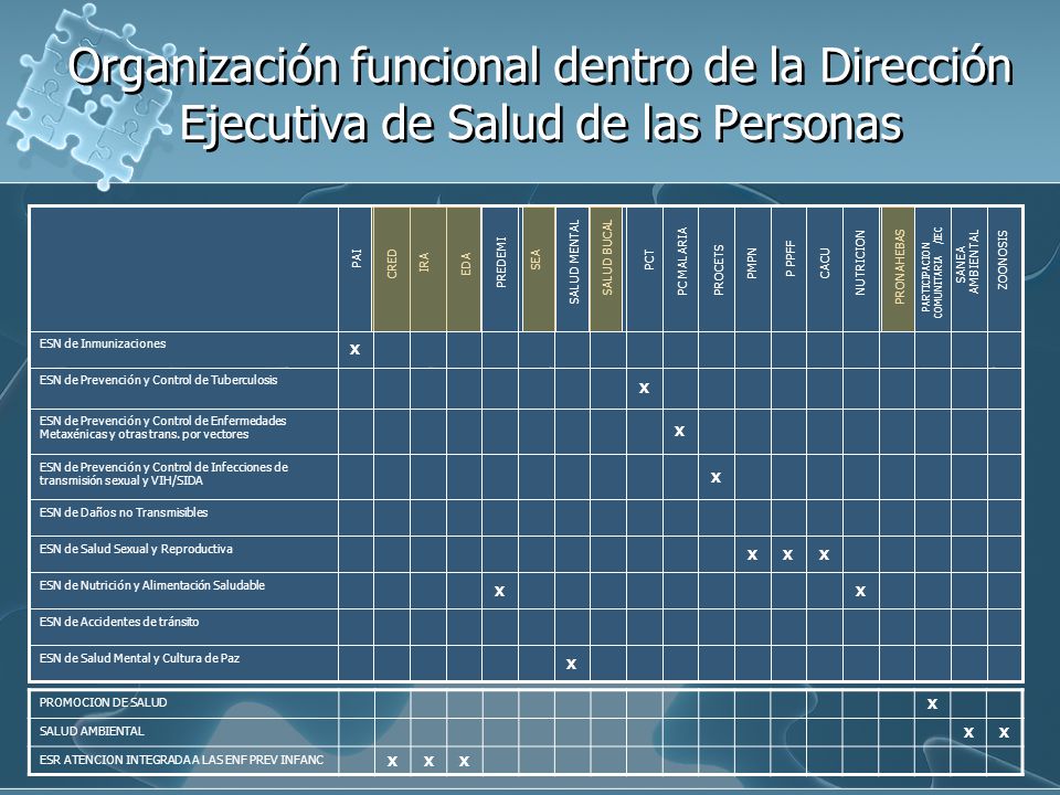 Organización funcional dentro de la Dirección Ejecutiva de Salud de las Personas